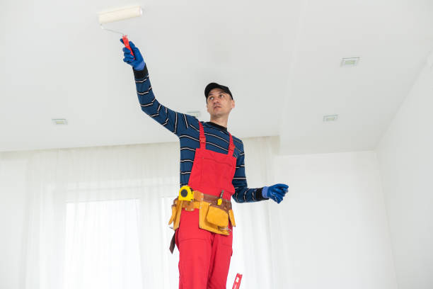 Best Repainting for Renovations  in Pleasant Hill, CA